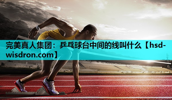 完美真人集团：乒乓球台中间的线叫什么