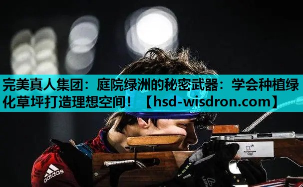 完美真人集团：庭院绿洲的秘密武器：学会种植绿化草坪打造理想空间！