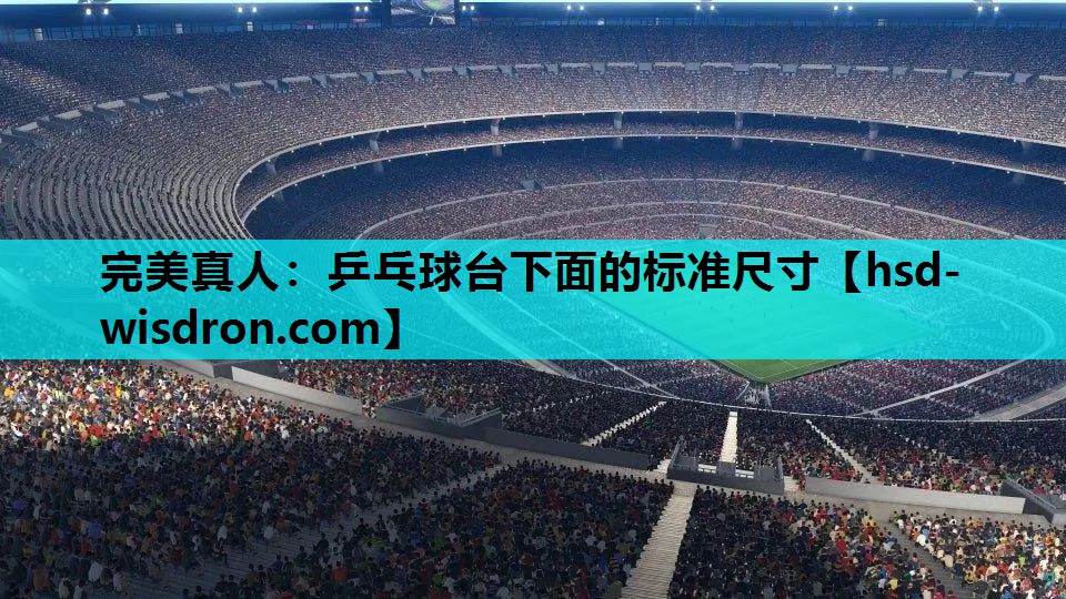 完美真人：乒乓球台下面的标准尺寸