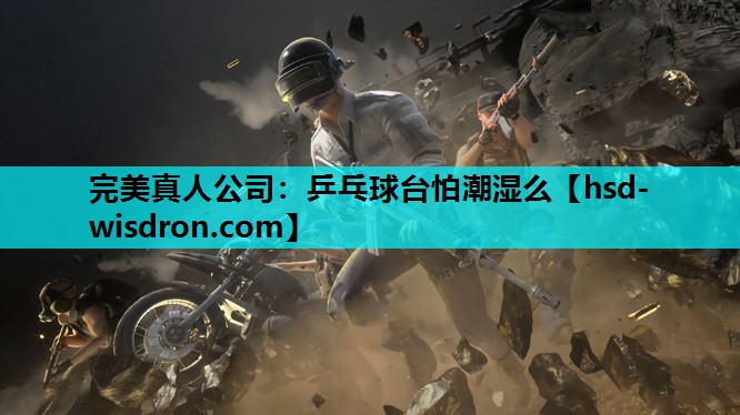 完美真人公司：乒乓球台怕潮湿么