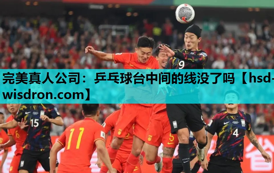 完美真人公司：乒乓球台中间的线没了吗