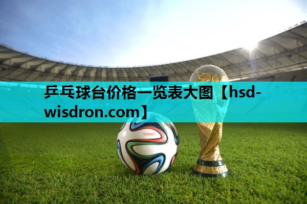乒乓球台价格一览表大图