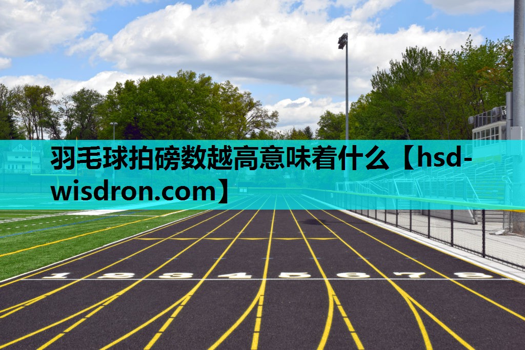羽毛球拍磅数越高意味着什么