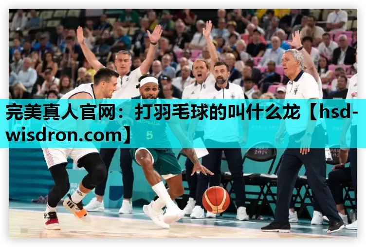 完美真人官网：打羽毛球的叫什么龙