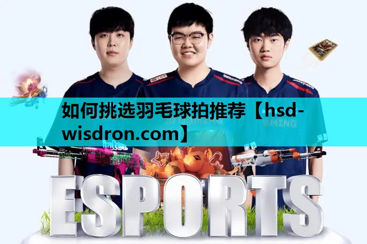 如何挑选羽毛球拍推荐