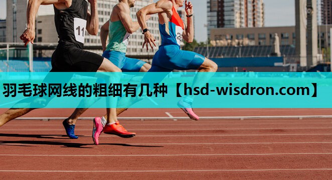 羽毛球网线的粗细有几种