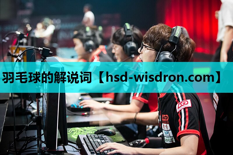羽毛球的解说词