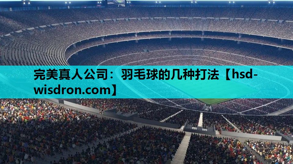 完美真人公司：羽毛球的几种打法