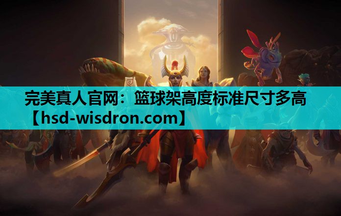 完美真人官网：篮球架高度标准尺寸多高