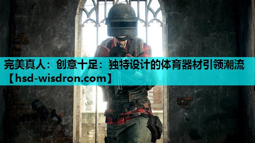 完美真人：创意十足：独特设计的体育器材引领潮流