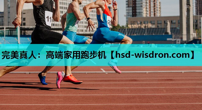 完美真人：高端家用跑步机
