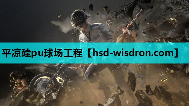 平凉硅pu球场工程