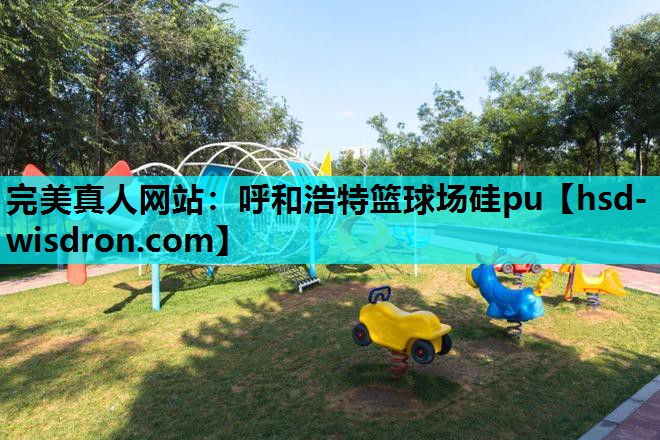 呼和浩特篮球场硅pu