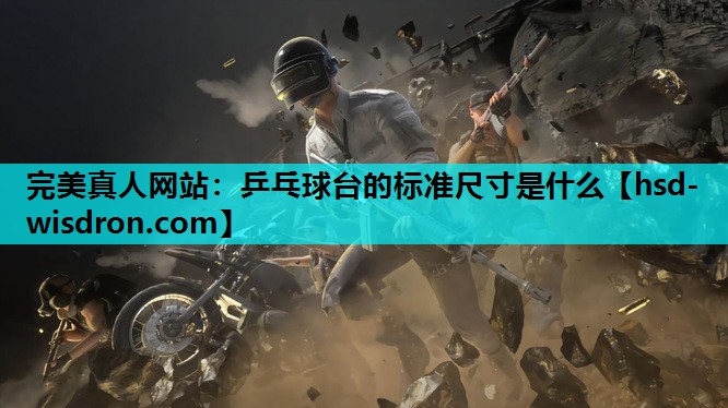 乒乓球台的标准尺寸是什么