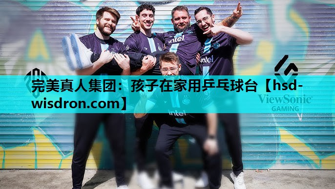 孩子在家用乒乓球台