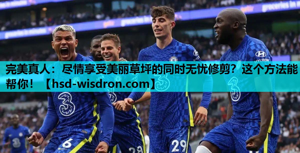 尽情享受美丽草坪的同时无忧修剪？这个方法能帮你！