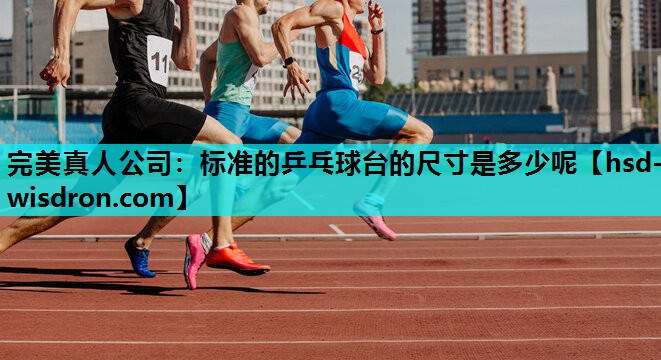 标准的乒乓球台的尺寸是多少呢