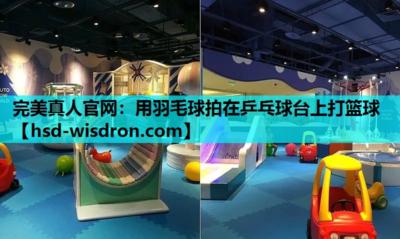 用羽毛球拍在乒乓球台上打篮球