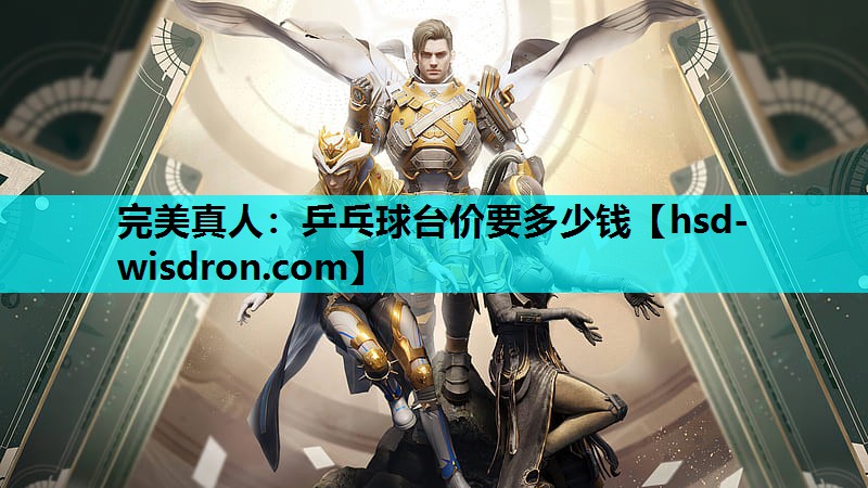 乒乓球台价要多少钱