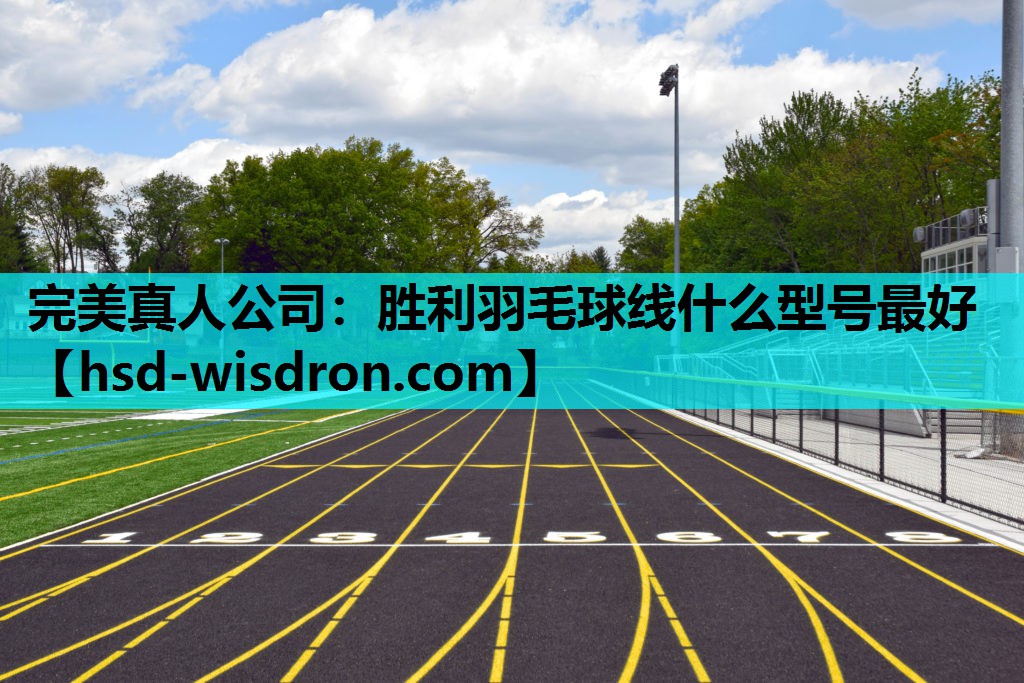 胜利羽毛球线什么型号最好