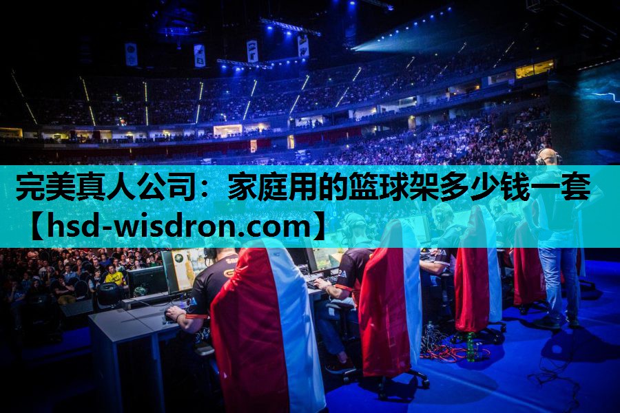 家庭用的篮球架多少钱一套
