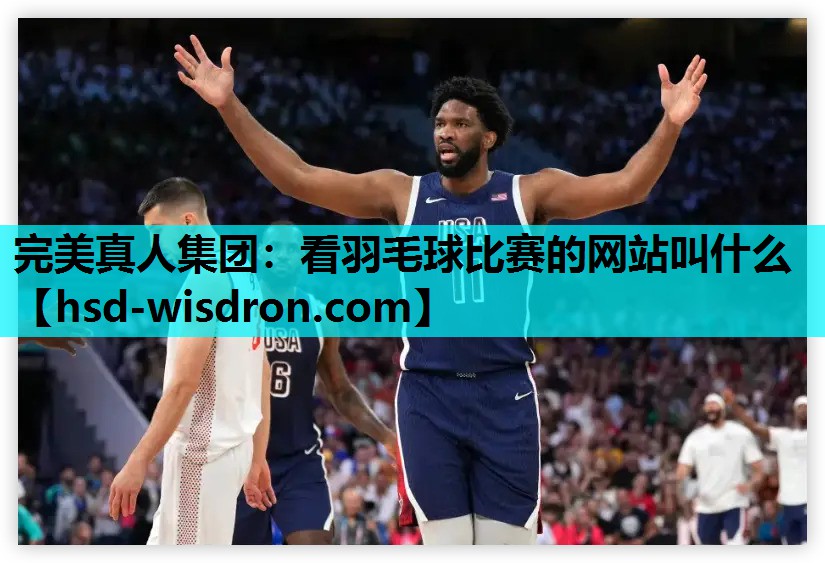 看羽毛球比赛的网站叫什么