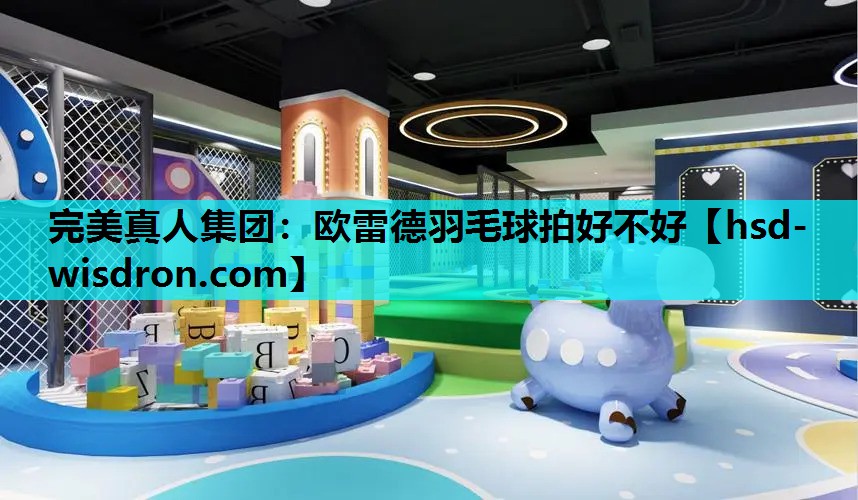 欧雷德羽毛球拍好不好