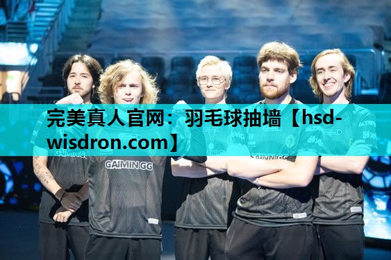 羽毛球抽墙