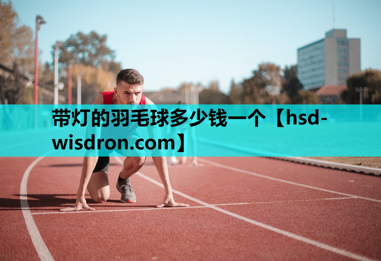 带灯的羽毛球多少钱一个