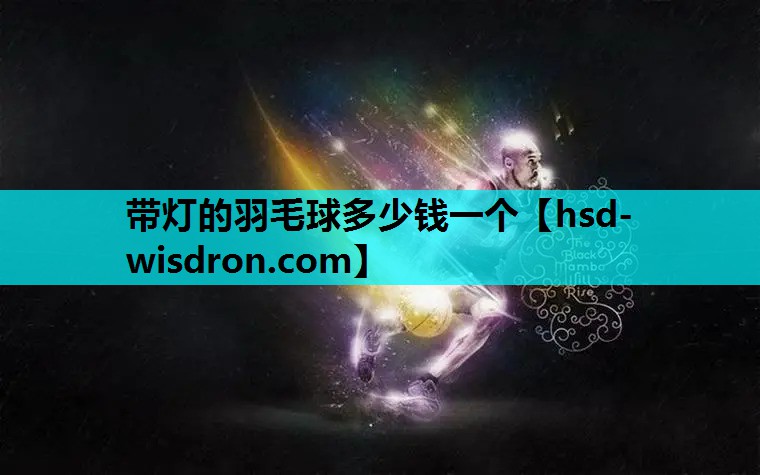 带灯的羽毛球多少钱一个