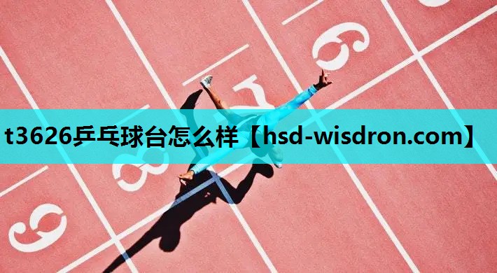 t3626乒乓球台怎么样