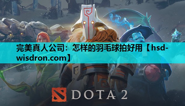 怎样的羽毛球拍好用