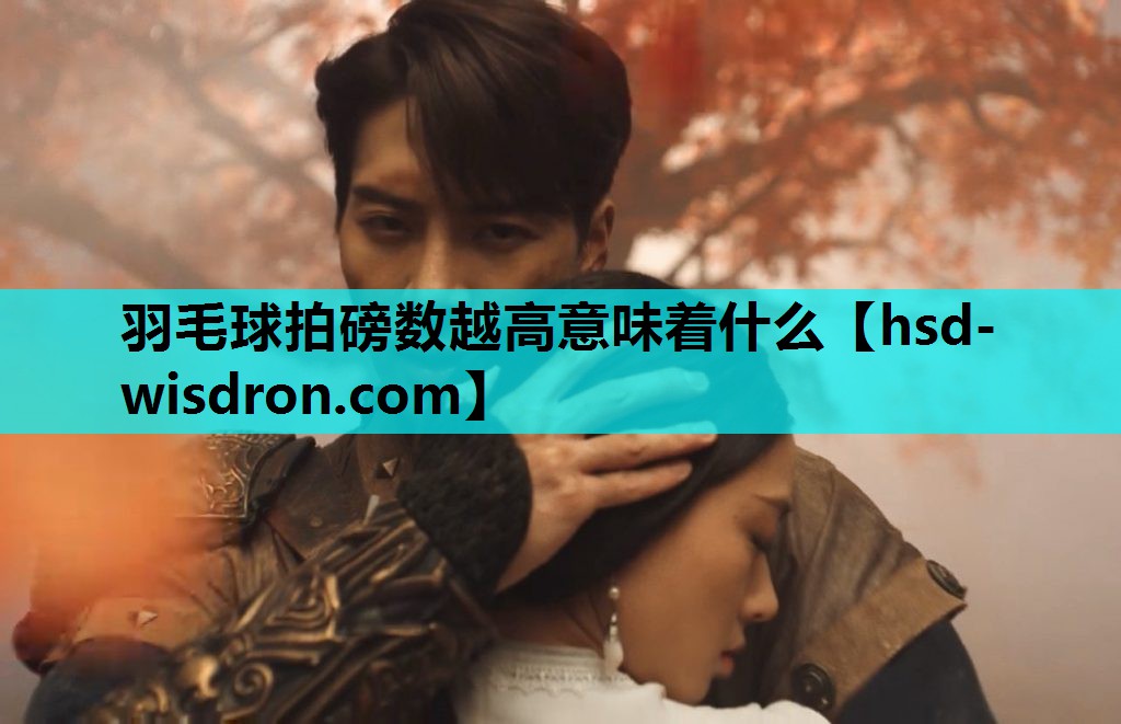 羽毛球拍磅数越高意味着什么