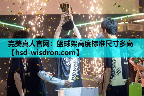 篮球架高度标准尺寸多高