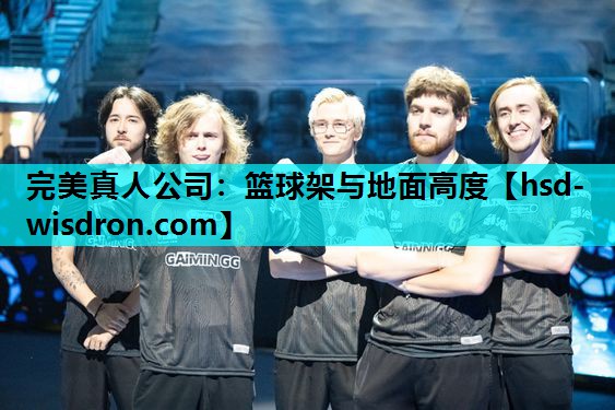 篮球架与地面高度