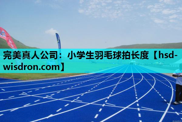 小学生羽毛球拍长度