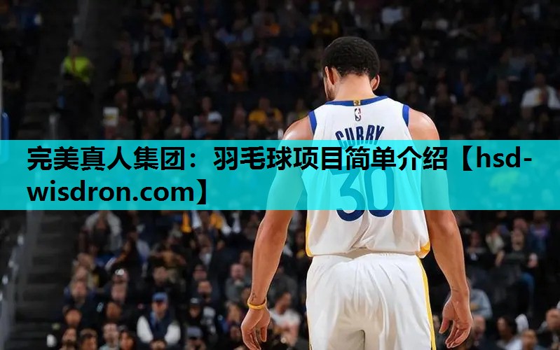 羽毛球项目简单介绍