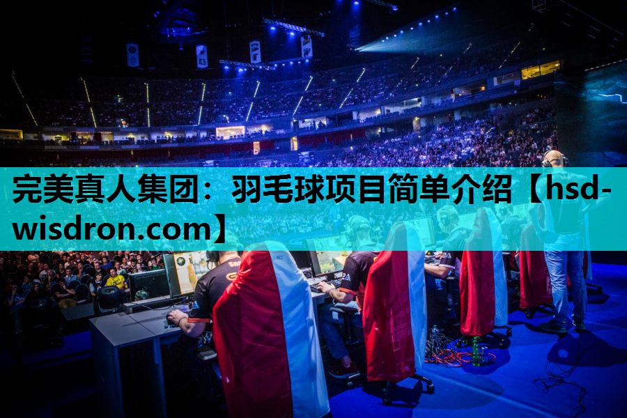 羽毛球项目简单介绍